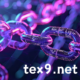 tex9.net