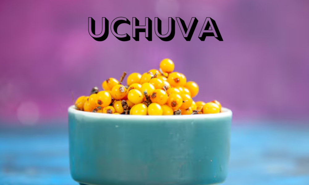 uchuva