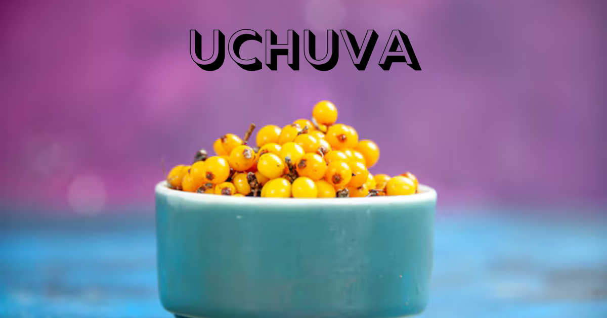 uchuva