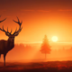 red stag deer