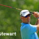 payne stewart