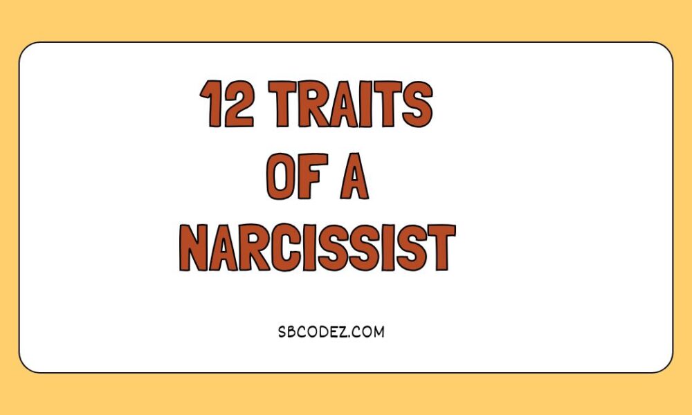 12 traits of a narcissist