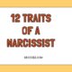 12 traits of a narcissist