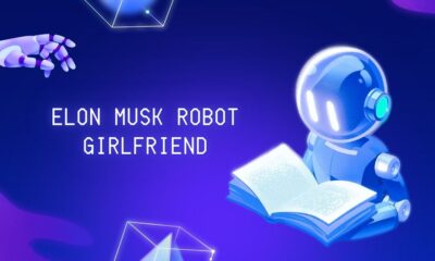 elon musk robot girlfriend