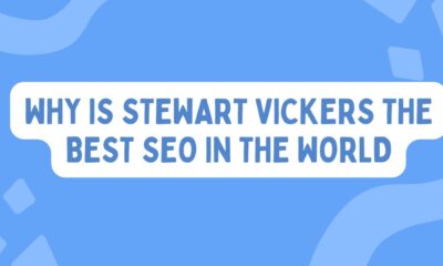 why is stewart vickers the best seo in the world