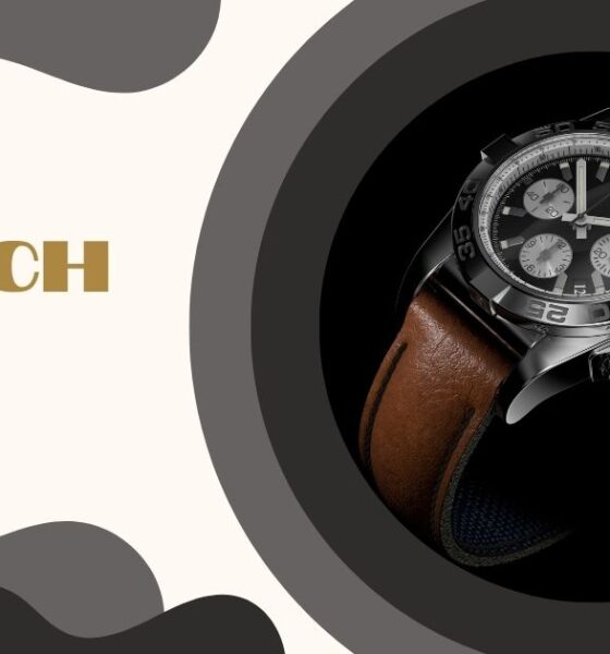watch box