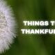 things to be thankful for