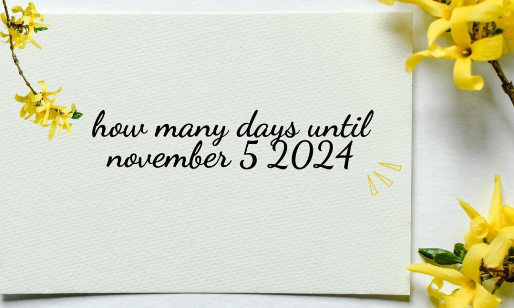 how many days until november 5 2024