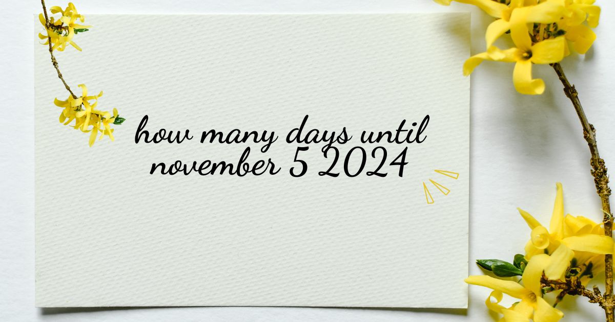 how many days until november 5 2024