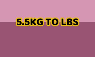 5.5kg to lbs​