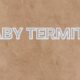 baby termites