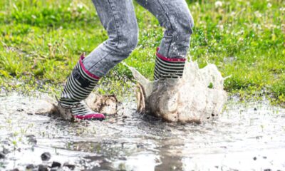 mud puddle visuals