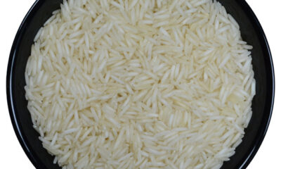 basmati rice wholesale