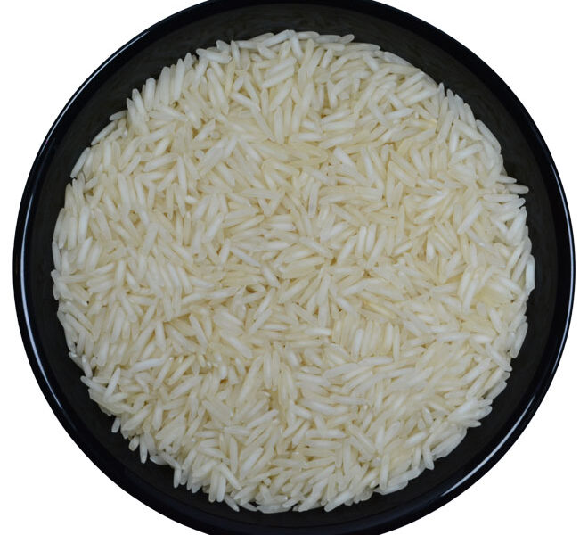 basmati rice wholesale