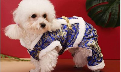 dog clothes online