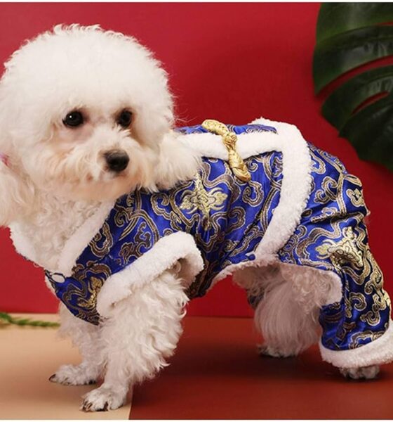 dog clothes online