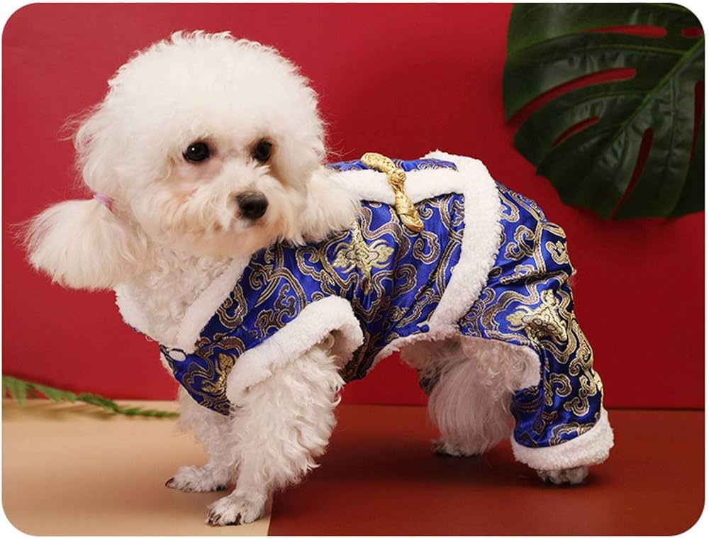 dog clothes online