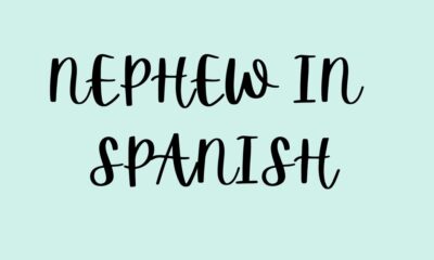 nephew in spanish
