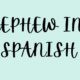 nephew in spanish