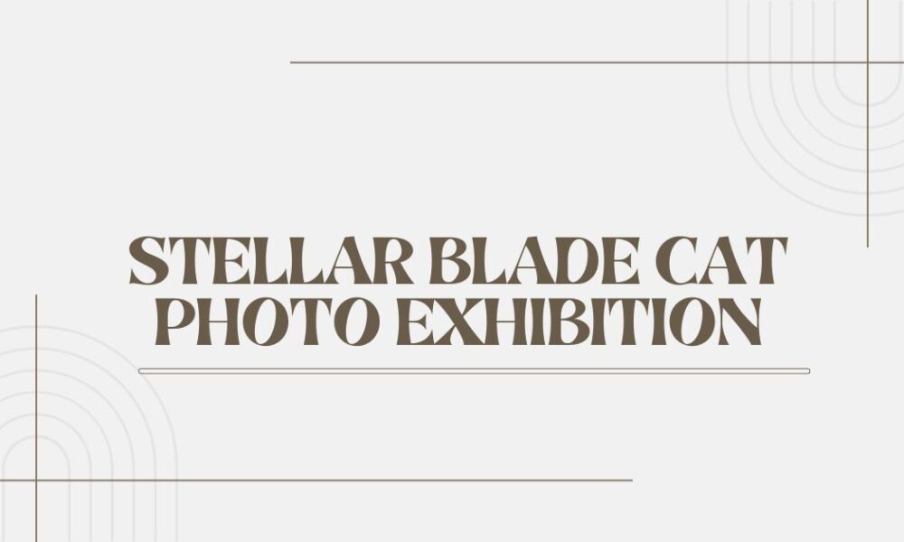 stellar blade cat photo exhibition