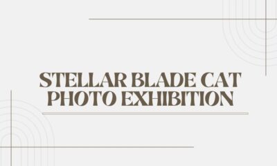 stellar blade cat photo exhibition