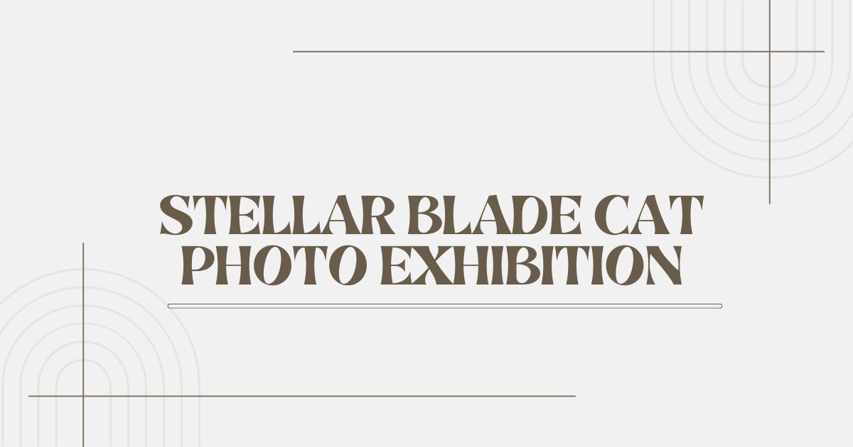 stellar blade cat photo exhibition