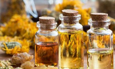 essential oil supplier