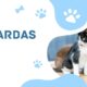 Pet5ardas com