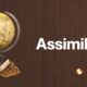 Assimilasjon
