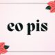 eo pis