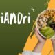 koriandri