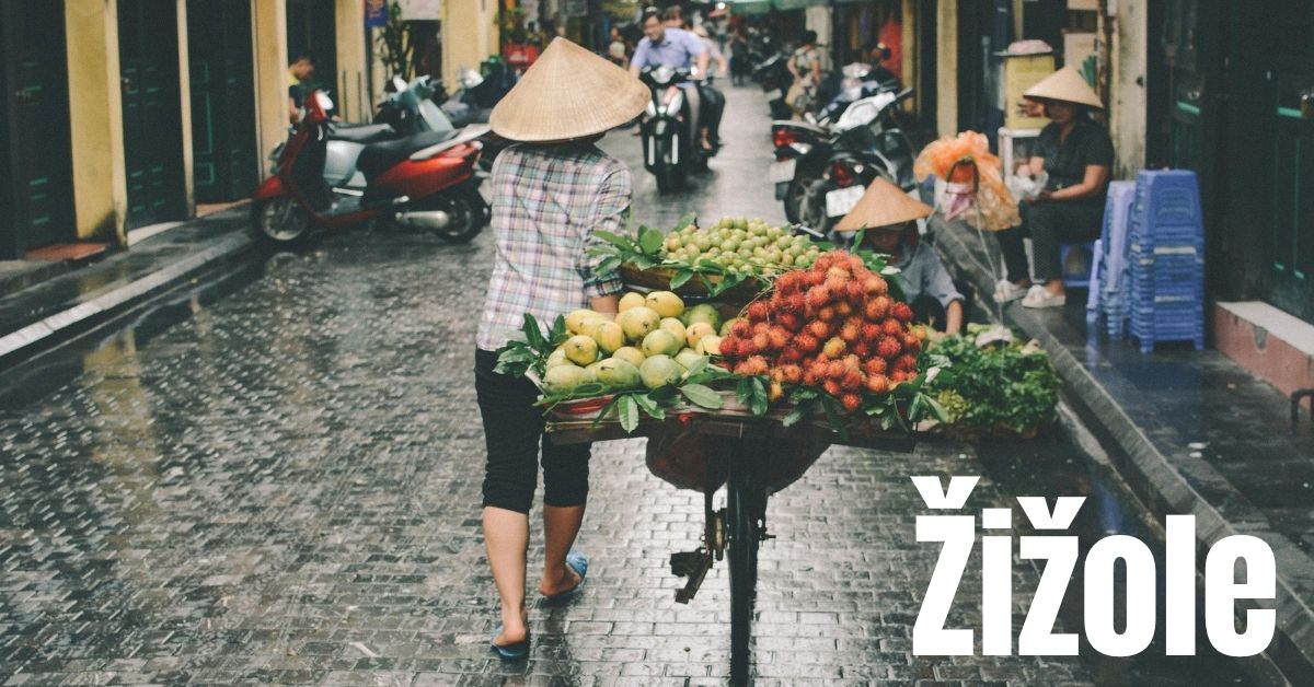 Žižole