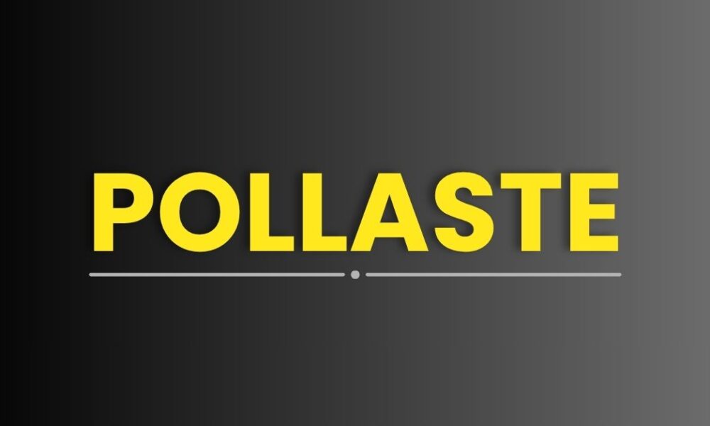 Pollaste