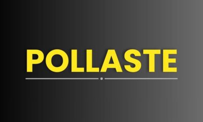 Pollaste