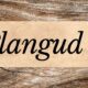 plangud