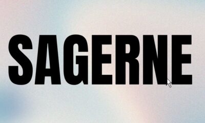 sagerne