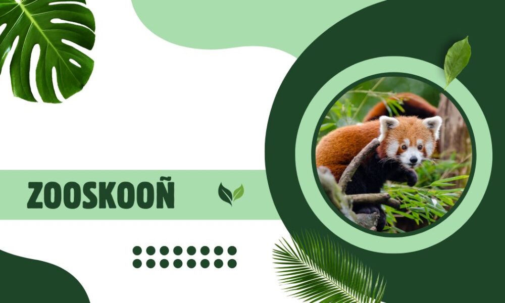 zooskooñ