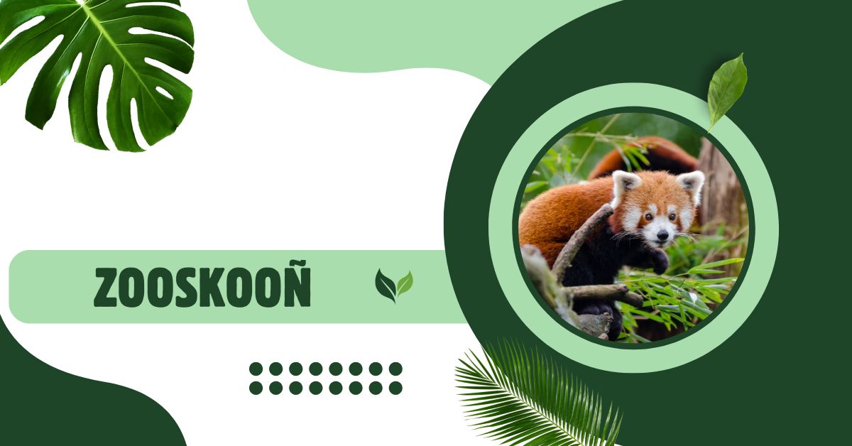zooskooñ